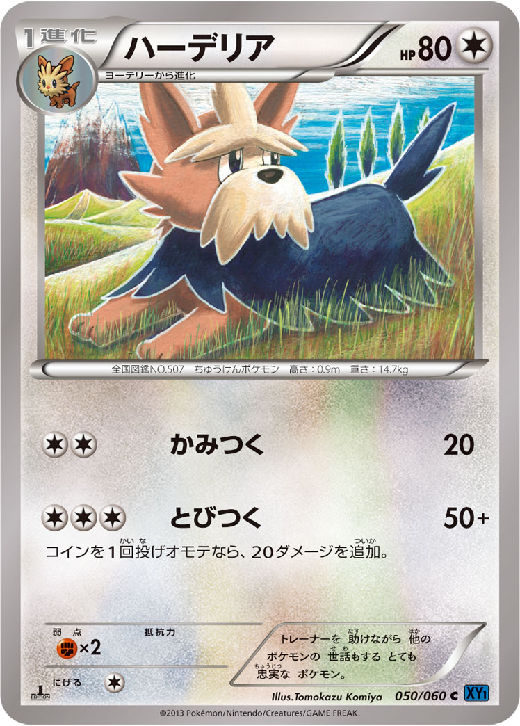 ポケモンカード　(旧裏面)   ５０７枚