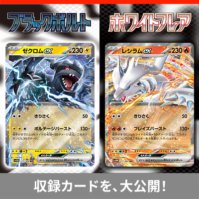 収録カードを、大公開!