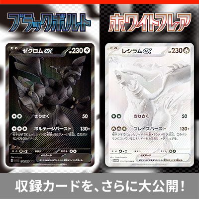 収録カードを、さらに大公開!