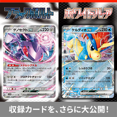 収録カードを、さらに大公開!
