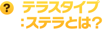 テラスタルタイプ：ステラとは？